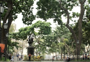 En la Plaza Bolívar de Caracas se realiza la consulta