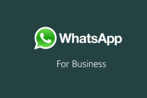 Whatsapp Business - Notiglobo