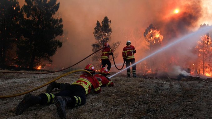 Portugal en estado de alerta a causa de los incendios forestales