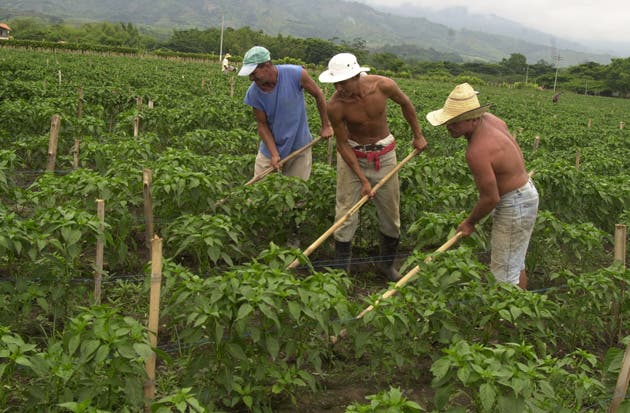Maduro instruye a la FANB diseñar nuevas estrategias para la protección los campesinos