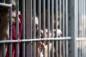 Foro Penal informó que el número de presos políticos subió a 245
