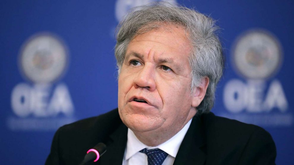 Almagro confirmó que recibió la solicitud de Prociudadanos de servir como mediador para que Venezuela vuelva a la OEA