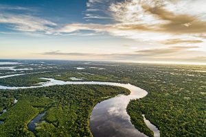 Fundación Yammine - La importancia de la Amazonía para el planeta - FOTO