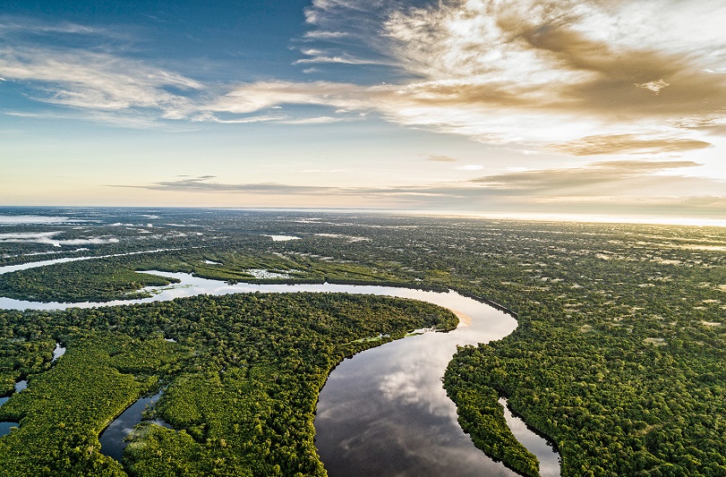 Fundación Yammine - La importancia de la Amazonía para el planeta - FOTO