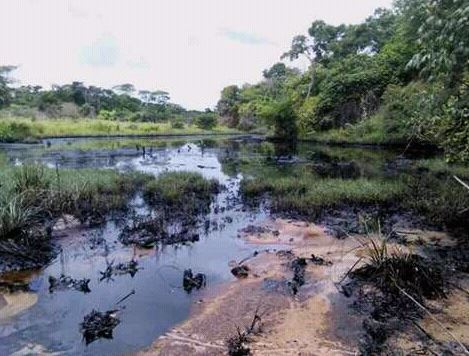 Derrame de petróleo en zonas de Anzoátegui afecta el ecosistema