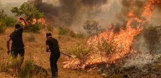 Incendios forestales en Turquía deja víctimas mortales