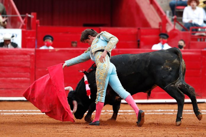Plantean prohibir corridas de toros en México