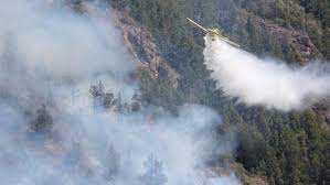 Incendios forestales llevan a Argentina a la declaración de Emergencia ígnea