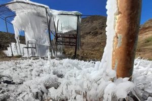 En Mérida reportan pérdida de cosechas por bajas temperaturas