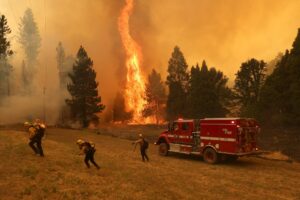 Incendios forestales en California lleva a las autoridades a declarar Estado de emergencia