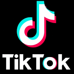 Conoce cuáles son los mejores horarios para publicar en TikTok de acuerdo a la inteligencia artificial.-Blog Hola Telcel